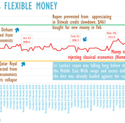 Monetary depreciation amplifies cost of Sri Lanka oil imports, inflation