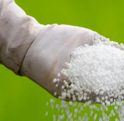 Govt absorbs Rs. 3k per 50 kg Urea
