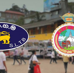 Special Bus and Train Services in place for New Year Travel Rush