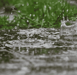 Fairly heavy rainfall expected in parts of the island