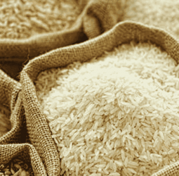 Govt allows rice imports to address Samba shortage