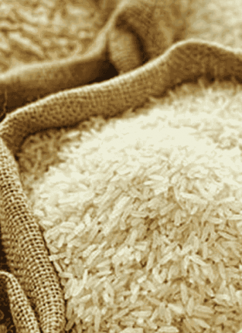 Govt allows rice imports to address Samba shortage