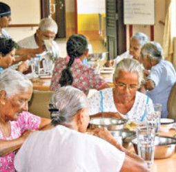 Sri Lanka’s census warns of shrinking workforce, rising elderly burden