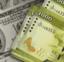 Dollar rate today : Selling rate remains unchanged at Rs. 318