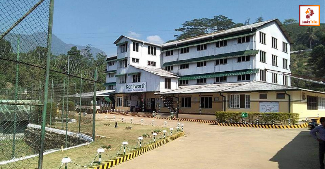 Kenilworth Estate: Crafting premium Ceylon tea through innovation and heritage