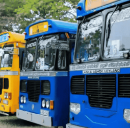 Online ticketing introduced for return travel to Makumbura