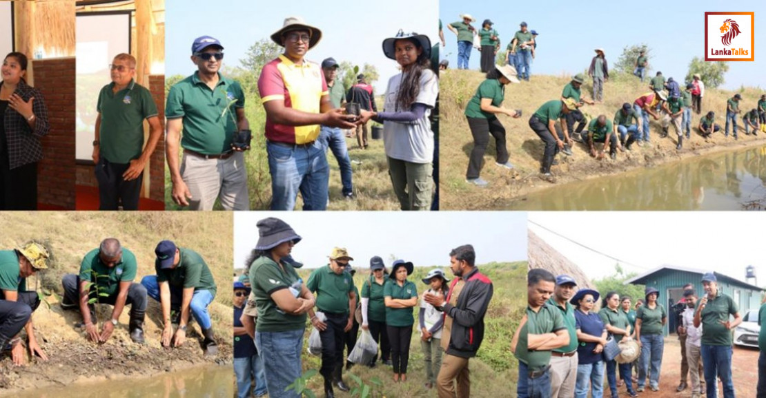 SLT-MOBITEL and Battle of the Maroons ‘Play for the Planet’ by restoring Anawilundawa’s mangrove ecosystems