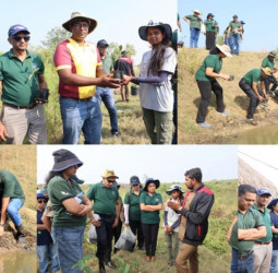 SLT-MOBITEL and Battle of the Maroons ‘Play for the Planet’ by restoring Anawilundawa’s mangrove ecosystems