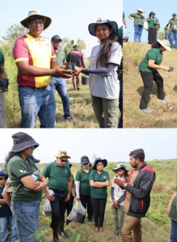 SLT-MOBITEL and Battle of the Maroons ‘Play for the Planet’ by restoring Anawilundawa’s mangrove ecosystems