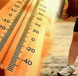 First aid and medical support urged for New Year events amid heat