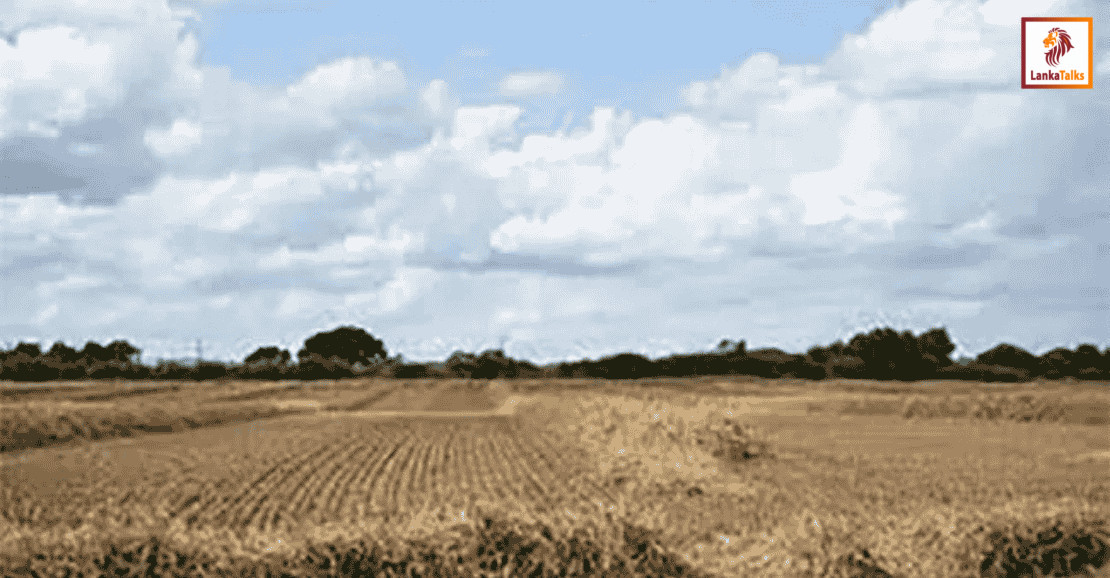 El Niño risk could extend drought until September – Met. Dept