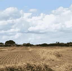 El Niño risk could extend drought until September – Met. Dept