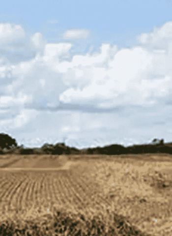 El Niño risk could extend drought until September – Met. Dept