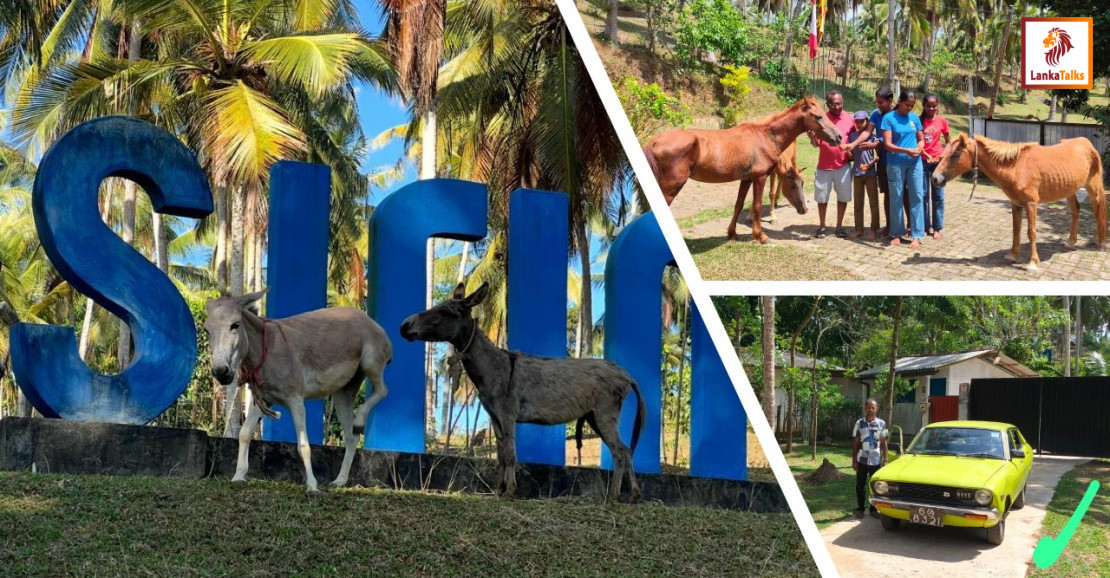 Sirin Park Baddegama introduces animal therapy to redefine the local hospitality landscape