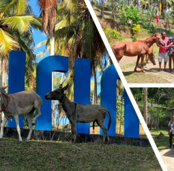 Sirin Park Baddegama introduces animal therapy to redefine the local hospitality landscape