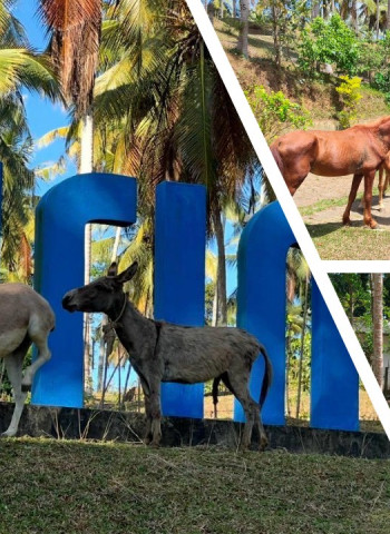 Sirin Park Baddegama introduces animal therapy to redefine the local hospitality landscape