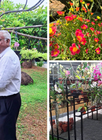 She came for retirement – and made the garden bloom at La Serena