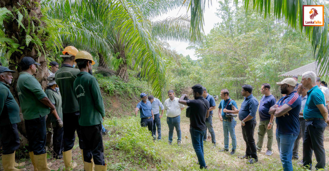 POIA Calls for Facts Over Myths in Discussion on Southern Oil Palm Cultivation and the Environment