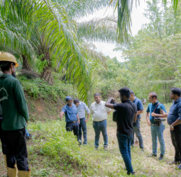 POIA Calls for Facts Over Myths in Discussion on Southern Oil Palm Cultivation and the Environment