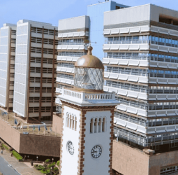 T-bill yields fall for 4th consecutive week