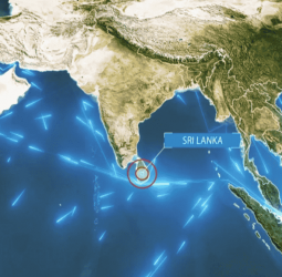 Expert panel recommendations on trade pacts due by June