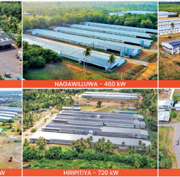 Hayleys Solar delivers 4,036 kW installations across six locations for Pussalla Meat Producers