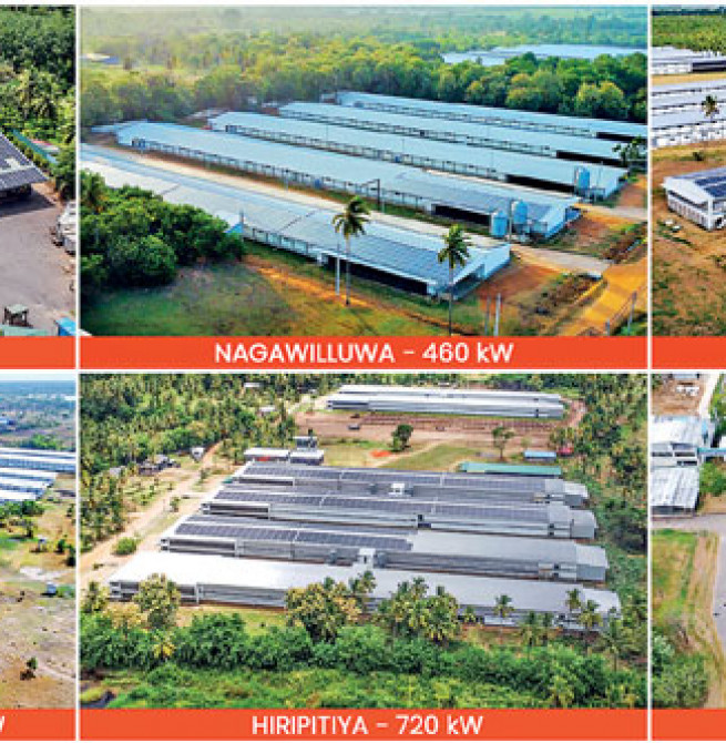 Hayleys Solar delivers 4,036 kW installations across six locations for Pussalla Meat Producers