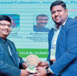 Sri Lanka positions for Indian Ocean seaweed leadership at India Expo 2026