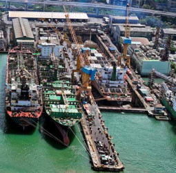 Mazagon Dock Nominees Appointed to Colombo Dockyard Board