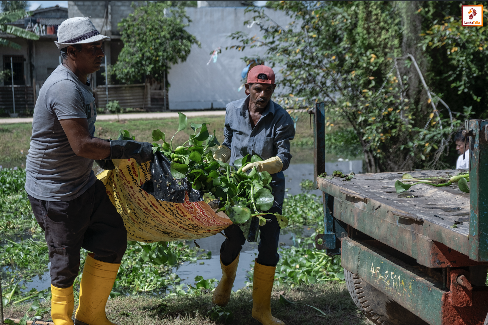 'Hyacinthesis' Accelerator launches to convert Water Hyacinth into livelihood opportunities