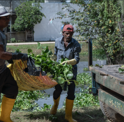 'Hyacinthesis' Accelerator launches to convert Water Hyacinth into livelihood opportunities