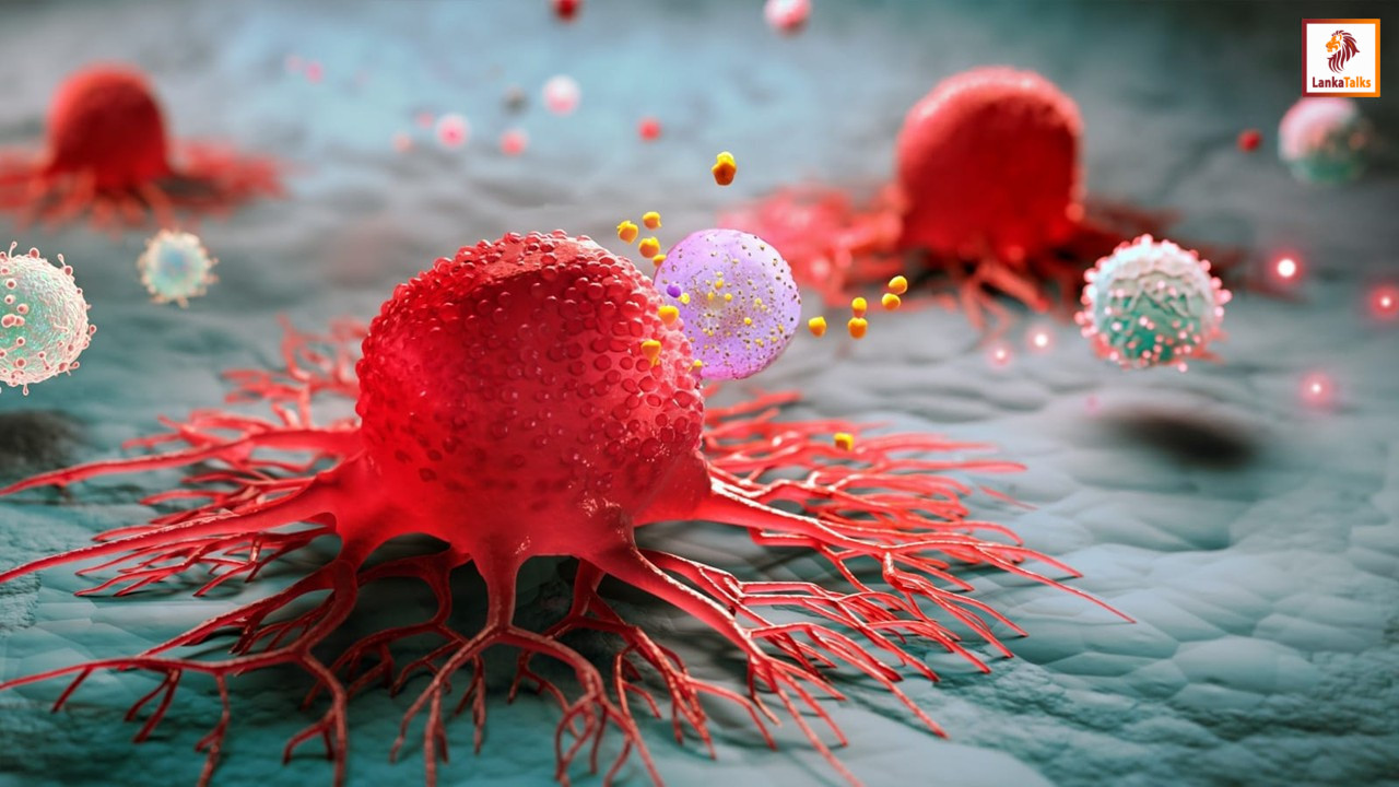 Around 100 new cancer patients reported daily in Sri Lanka