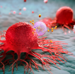 Around 100 new cancer patients reported daily in Sri Lanka