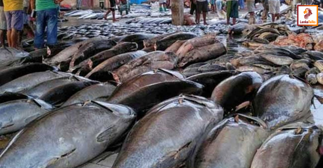 Fish prices rise post-fishers protest