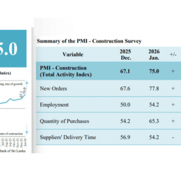 Sri Lanka construction activity spikes in Jan 2025, firms faced with labour shortage: PMI