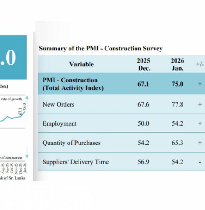 Sri Lanka construction activity spikes in Jan 2025, firms faced with labour shortage: PMI