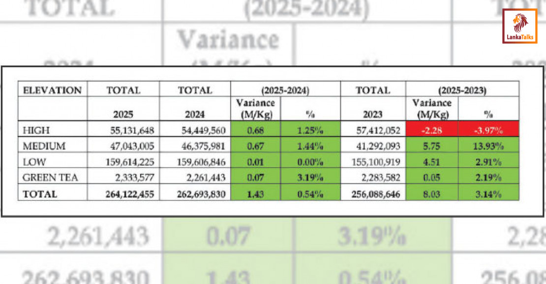 SL tea industry closes 2025 with total production of 264.12 Mn kilograms