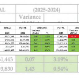 SL tea industry closes 2025 with total production of 264.12 Mn kilograms