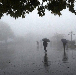 Heavy showers over 100 mm forecast in several areas