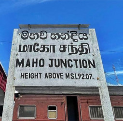 Restoration work of Northern and Talaimannar railway lines commences