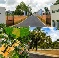 Spotlighting Sri Lanka’s Rising Real Estate Champions January 19, 2026 11:07 am