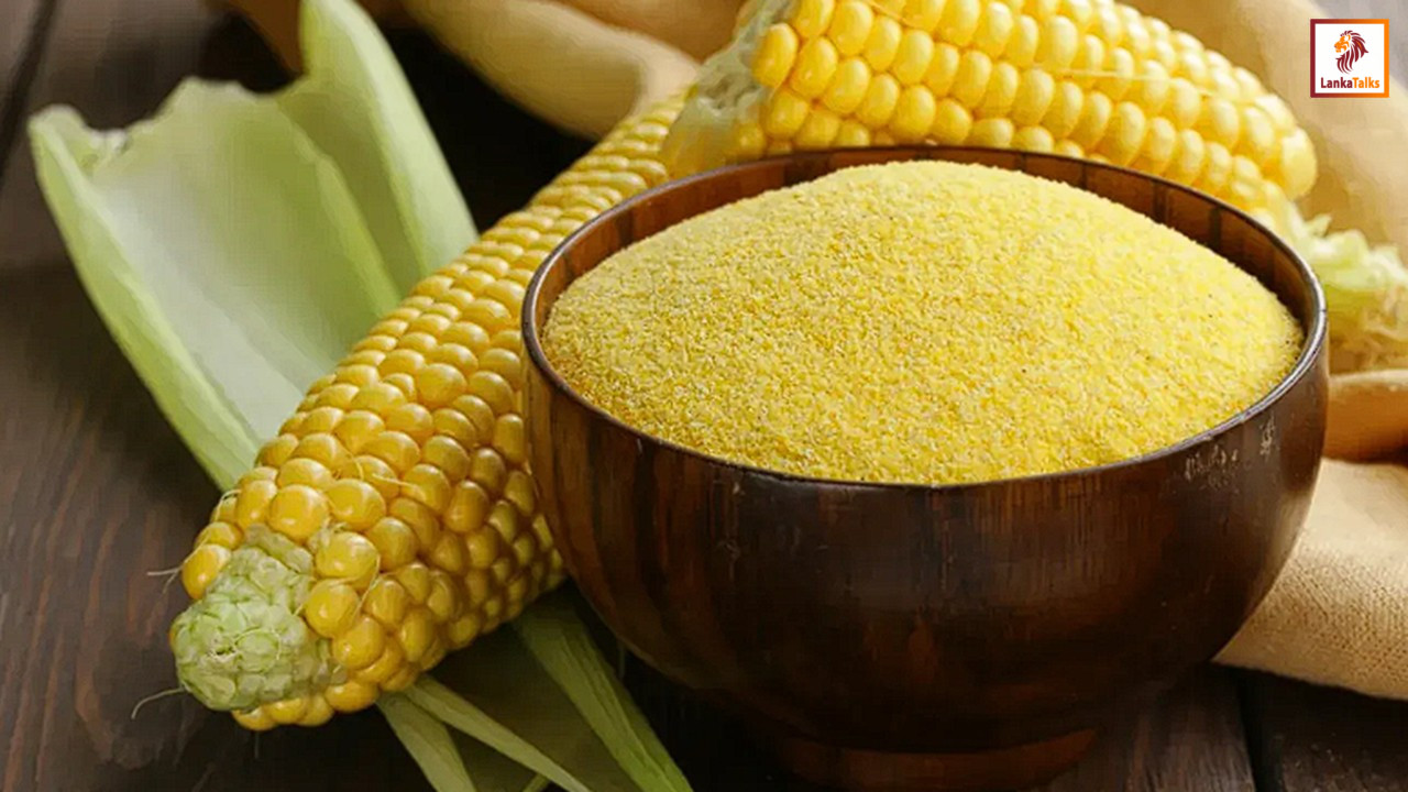 Maize-based project to strengthen Thriposha program