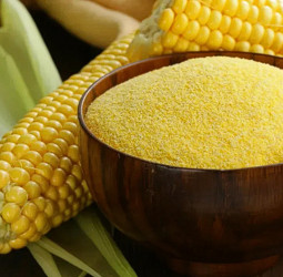 Maize-based project to strengthen Thriposha program