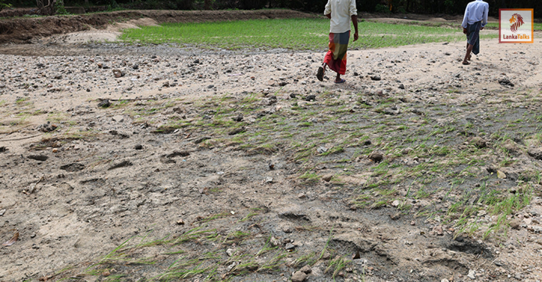 FAO Appeals for USD 16.5 Million to Restore Livelihoods after Cyclone Ditwah Devastates Sri Lanka’s Agrifood Sector