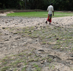 FAO Appeals for USD 16.5 Million to Restore Livelihoods after Cyclone Ditwah Devastates Sri Lanka’s Agrifood Sector