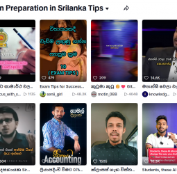 From Exam Tips to Career Choices: What Young People Search on TikTok