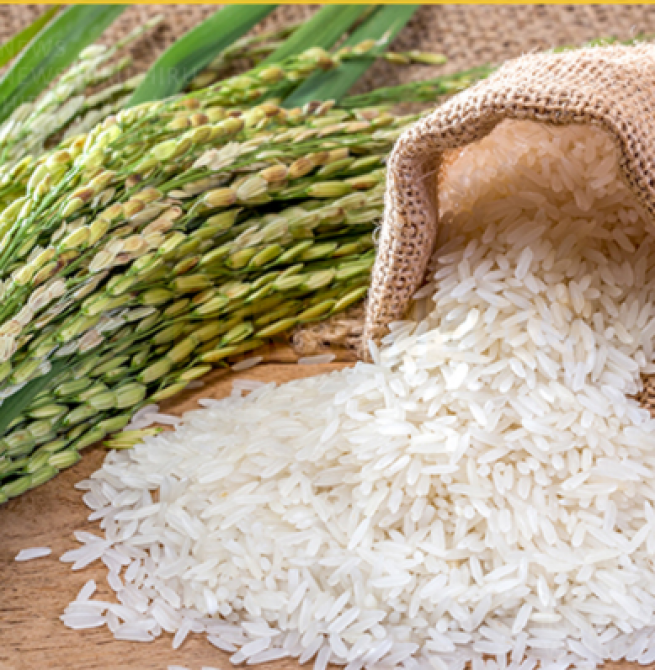 Rice shortage fears ahead of festive season