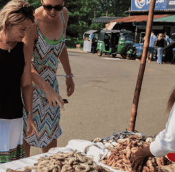 Tourism earnings target missed by $1.8 b