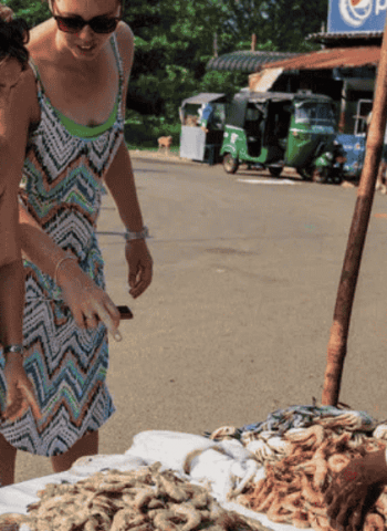 Tourism earnings target missed by $1.8 b