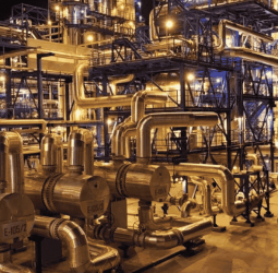 Markets price chaos as oil finds its footing